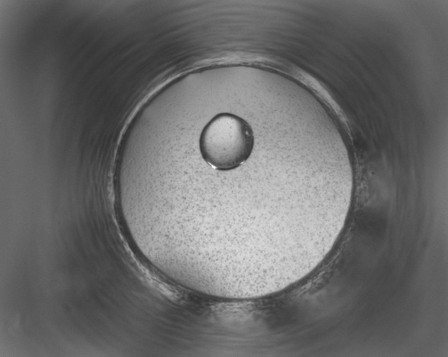 X0000084030810200702232257