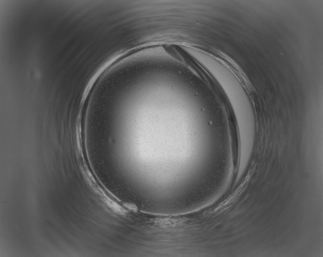 X0000084030812200702232256