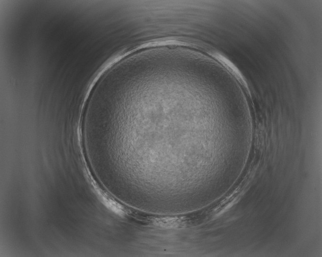 X0000084030813200702232256