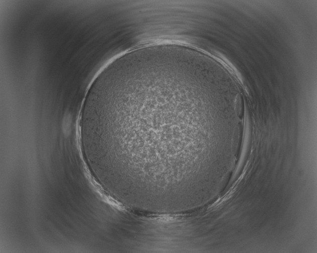 X0000084030814200702232256