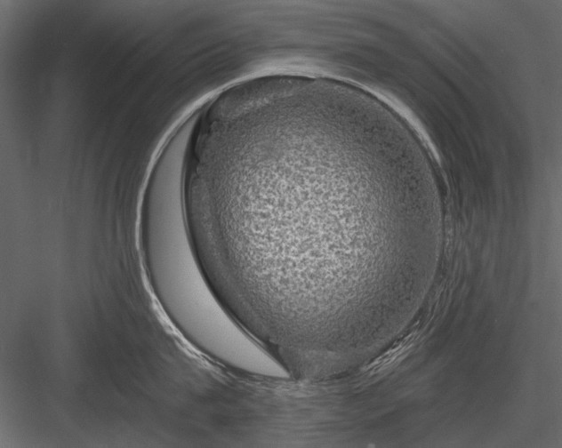 X0000084030815200702232256