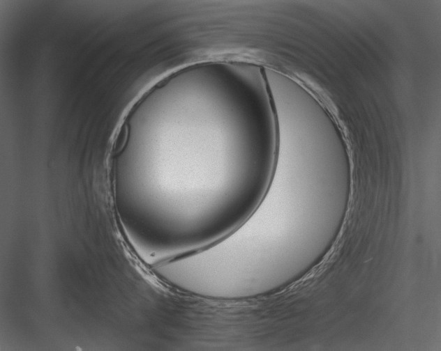 X0000084030816200702232256