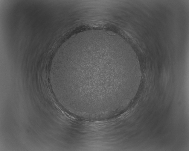 X0000084030817200702232256