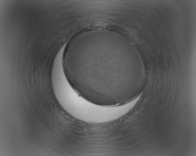 X0000084030818200702232256