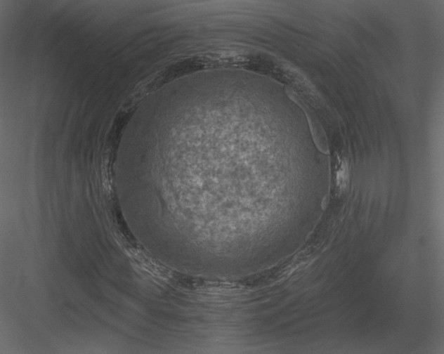 X0000084030819200702232256