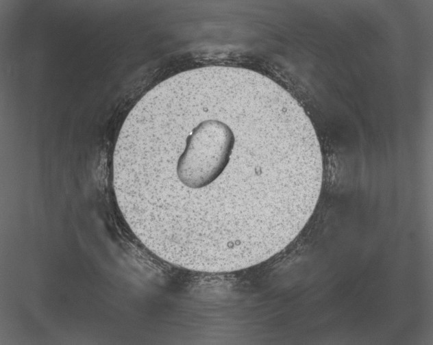 X0000084030820200702232256