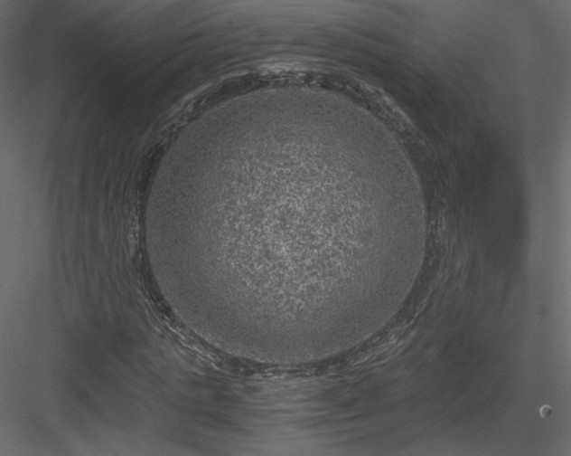 X0000084030821200702232256