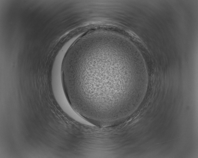 X0000084030822200702232256