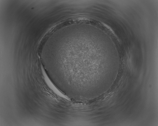 X0000084030823200702232256