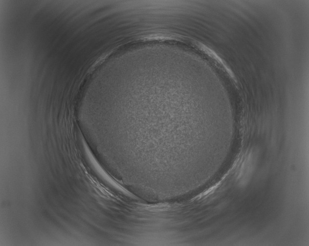 X0000084030825200702232256