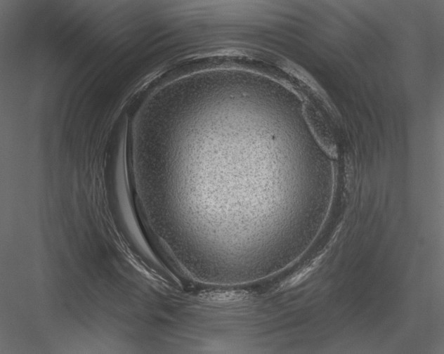 X0000084030826200702232256