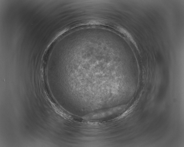 X0000084030827200702232256