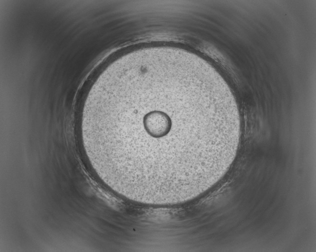 X0000084030828200702232256