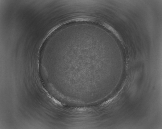 X0000084030829200702232256