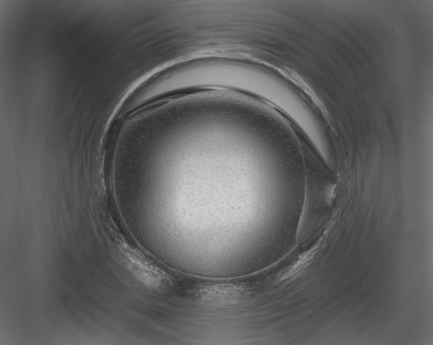 X0000084030830200702232256