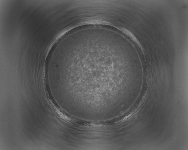 X0000084030831200702232256