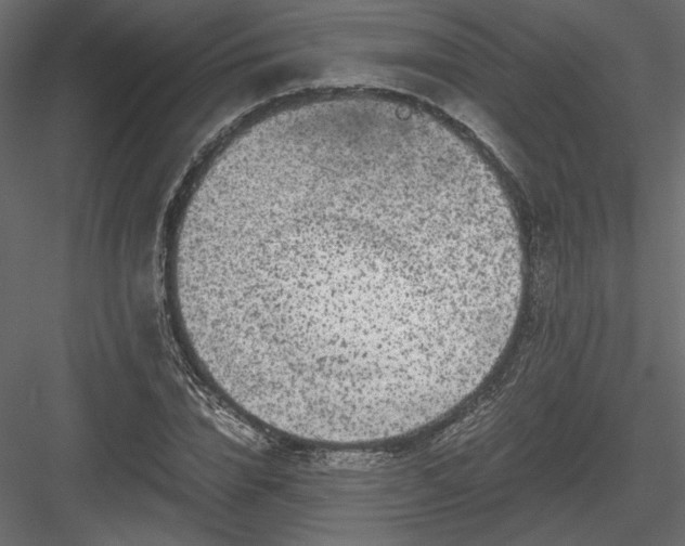 X0000084030832200702232256