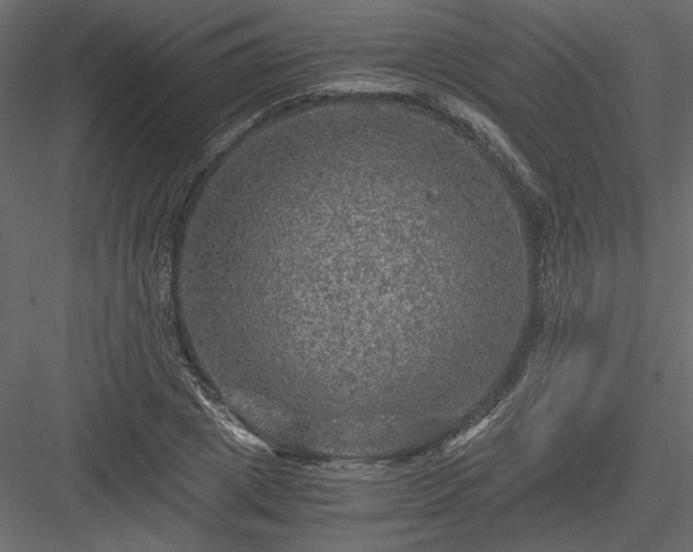 X0000084030833200702232256