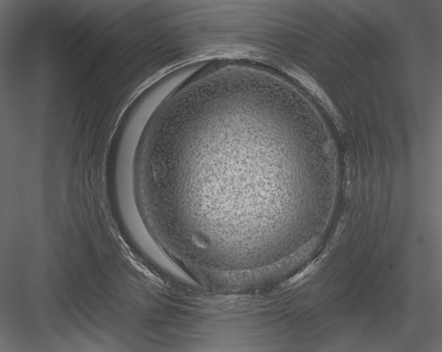 X0000084030834200702232256