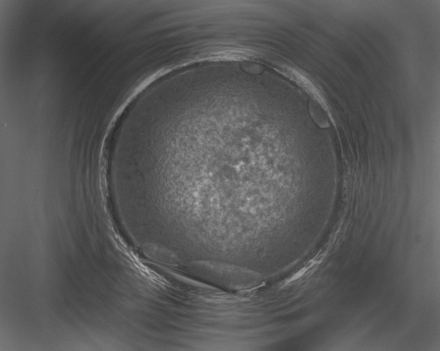 X0000084030835200702232256