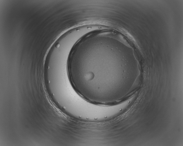 X0000084030836200702232256