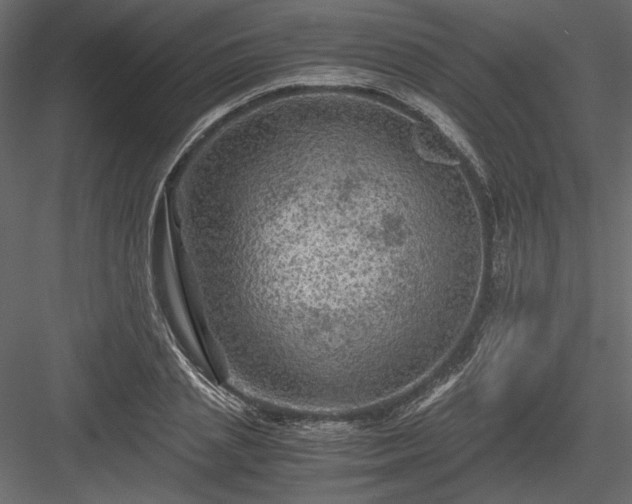 X0000084030837200702232256