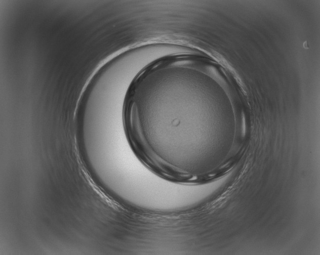 X0000084030838200702232256