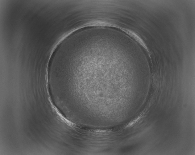 X0000084030839200702232256