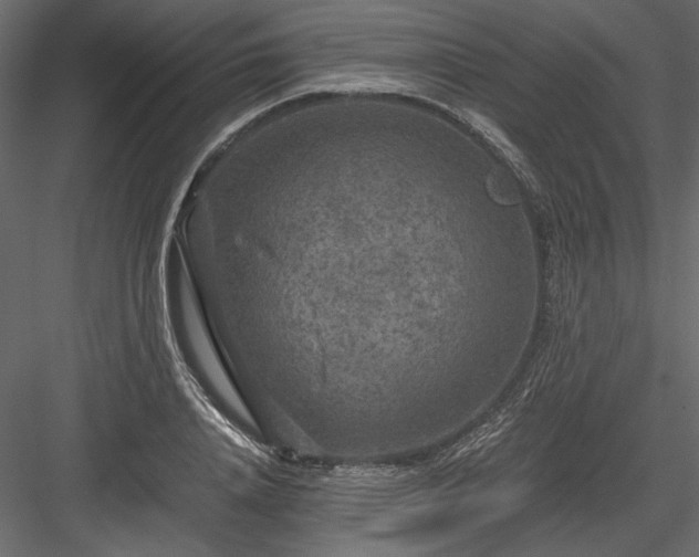 X0000084030840200702232256