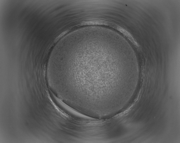 X0000084030841200702232256