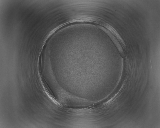 X0000084030842200702232256