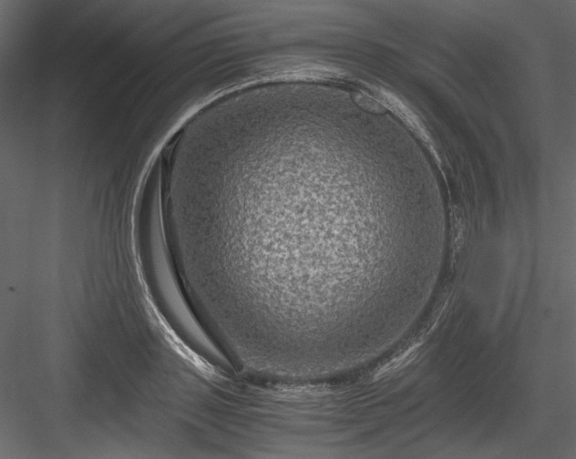 X0000084030843200702232256