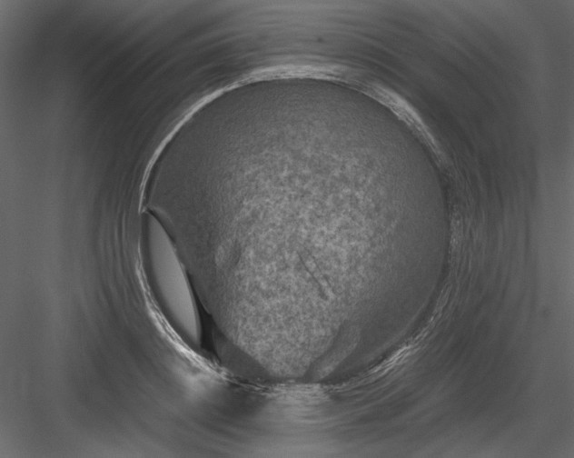 X0000084030844200702232256