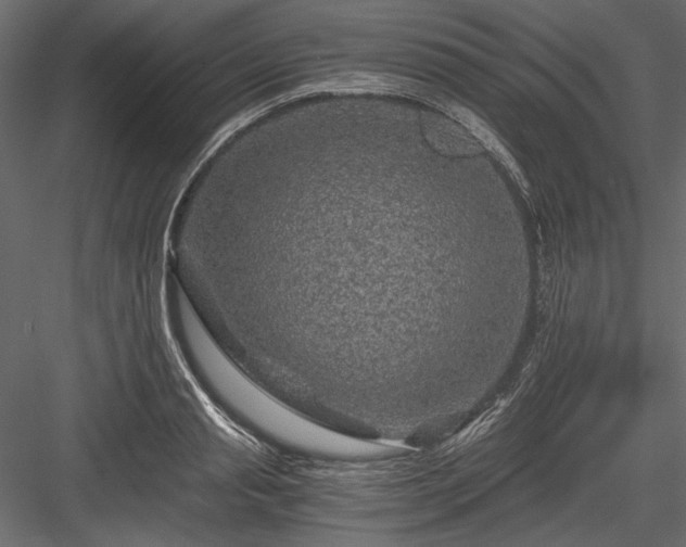 X0000084030845200702232256