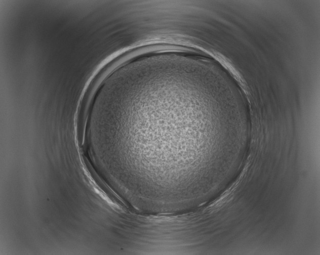 X0000084030846200702232256