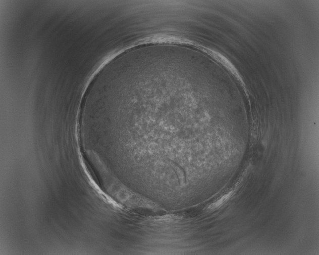 X0000084030847200702232256