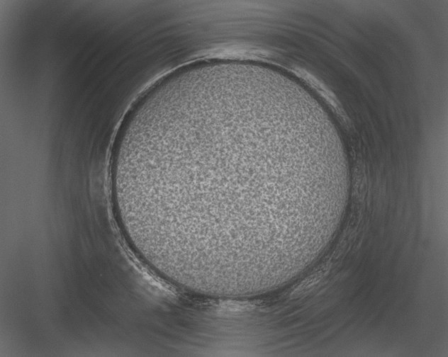 X0000084030848200702232256