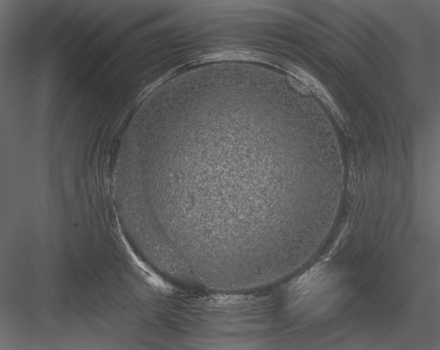 X0000084030849200702232256