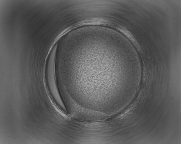 X0000084030850200702232256