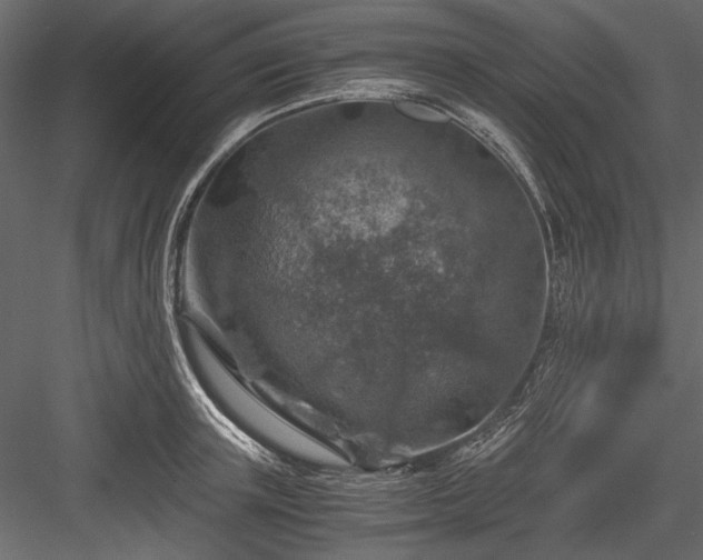 X0000084030851200702232256