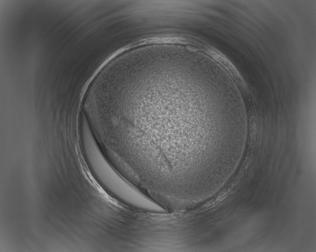 X0000084030852200702232256