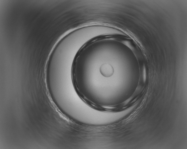 X0000084030854200702232256