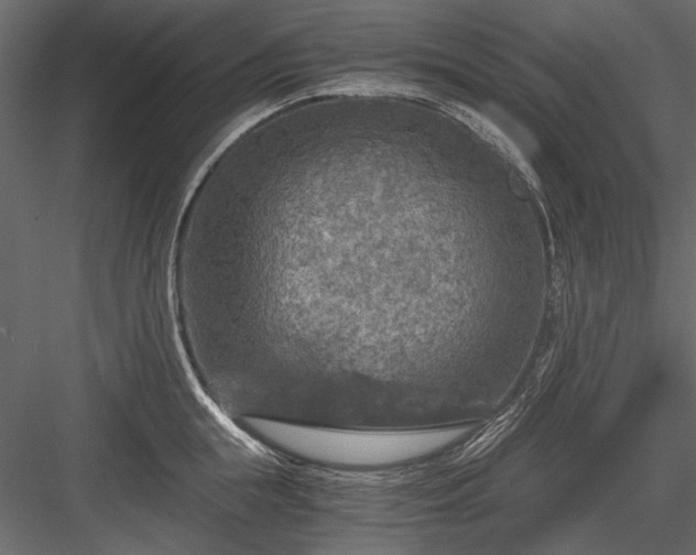 X0000084030855200702232256