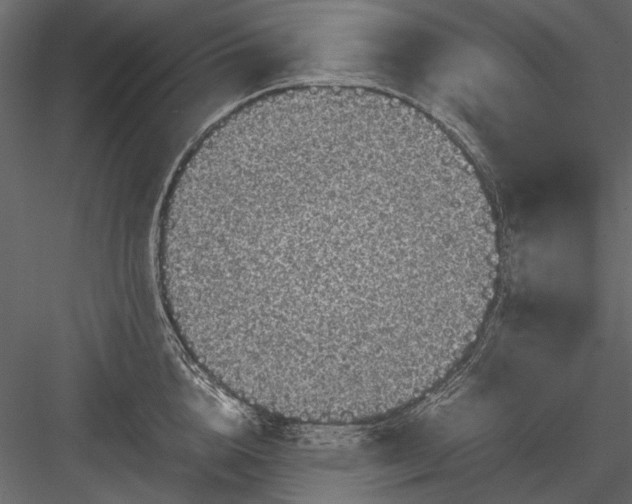 X0000084030856200702232256