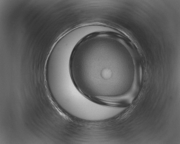 X0000084030858200702232256