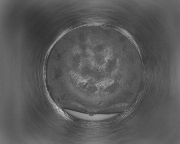 X0000084030859200702232256