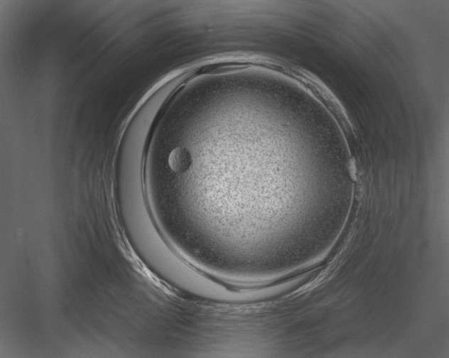 X0000084030860200702232256