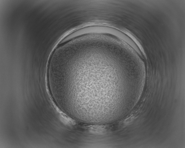 X0000084030861200702232256