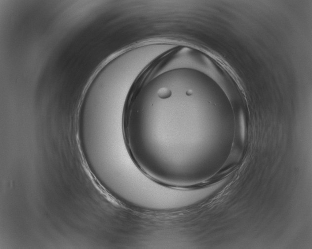 X0000084030862200702232256