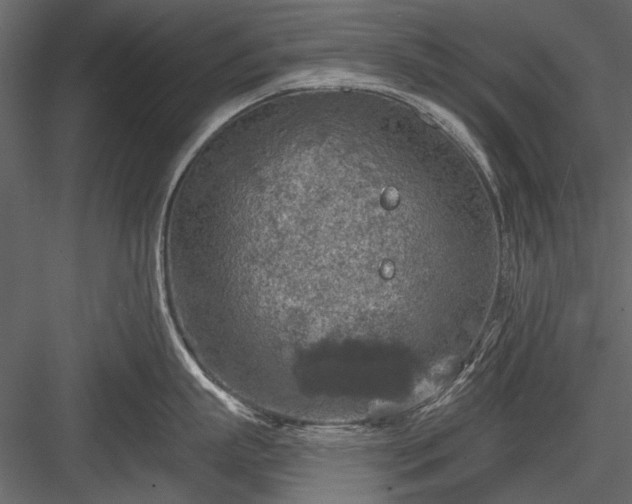 X0000084030863200702232256